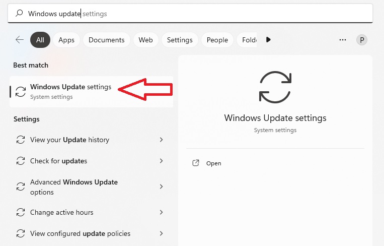 The Windows update settings you are to select specified