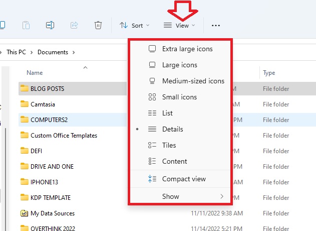 Picture on how to change the default folder view in Windows 11 with the view options specified